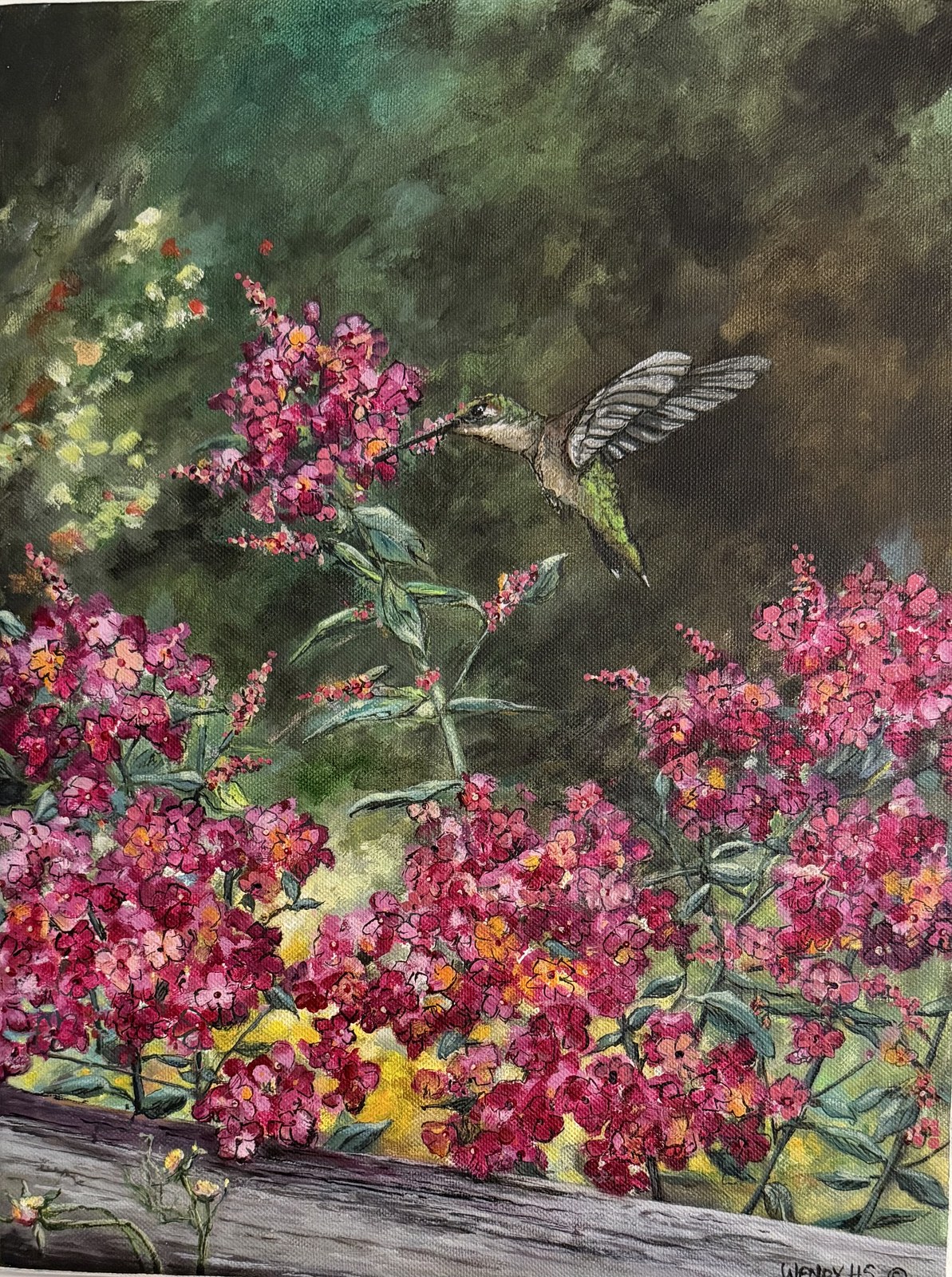 Hummingbird and Blossoms