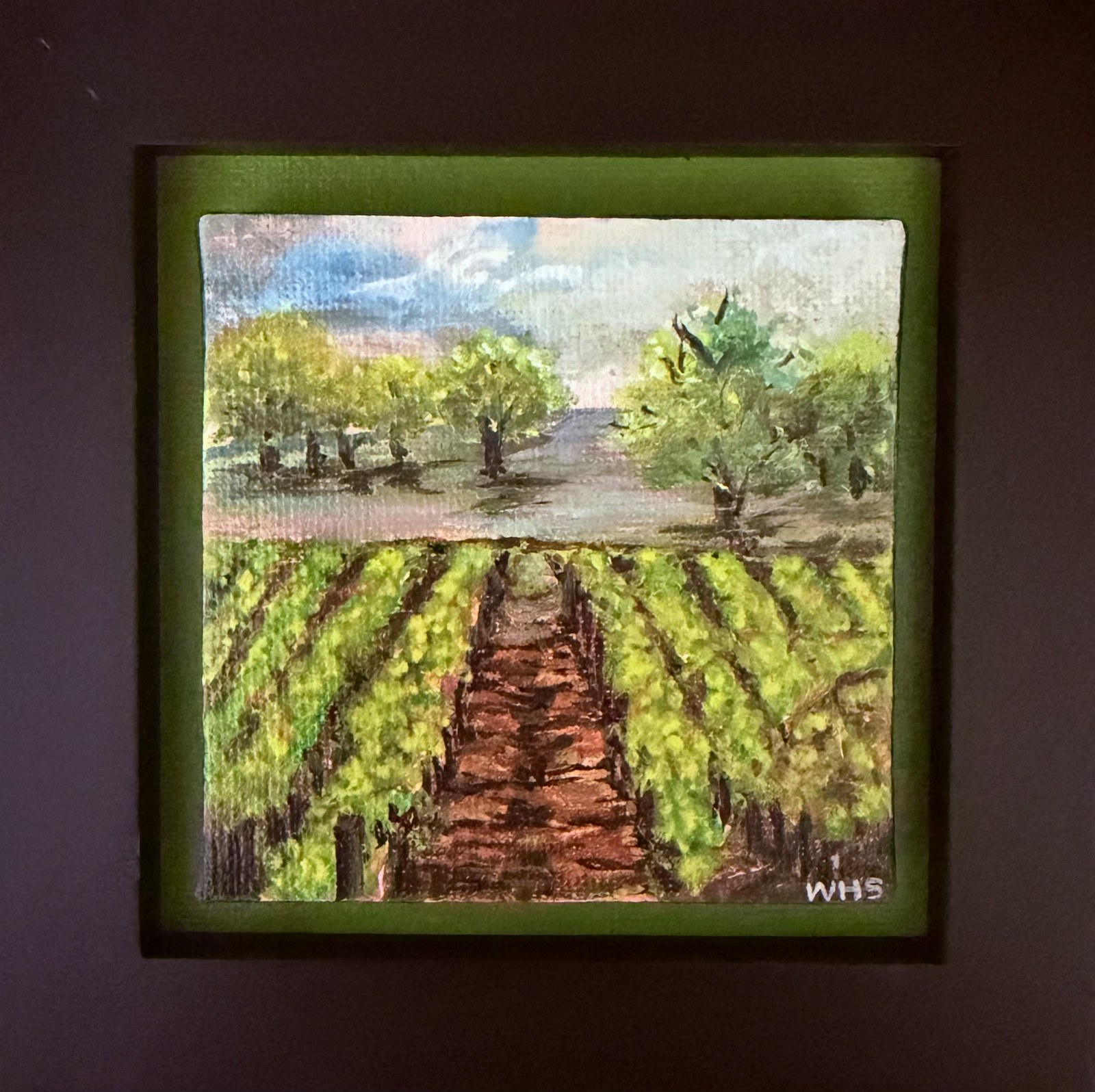 Vineyard Rows