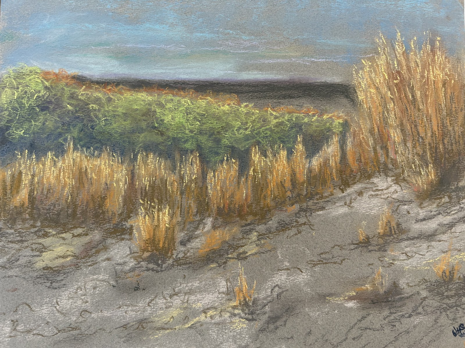 Willows by the Water